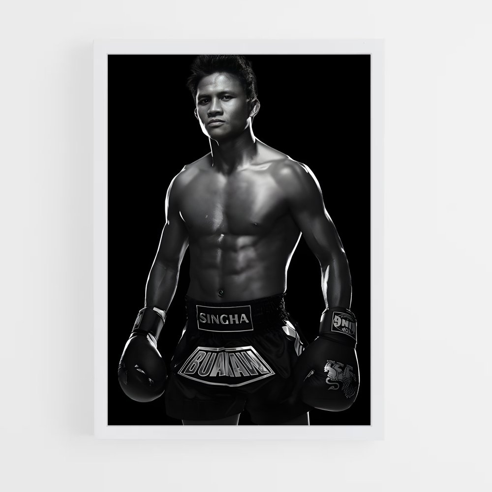 Poster L'Ombre du Champion – affiche Kick-boxing (vue 3)